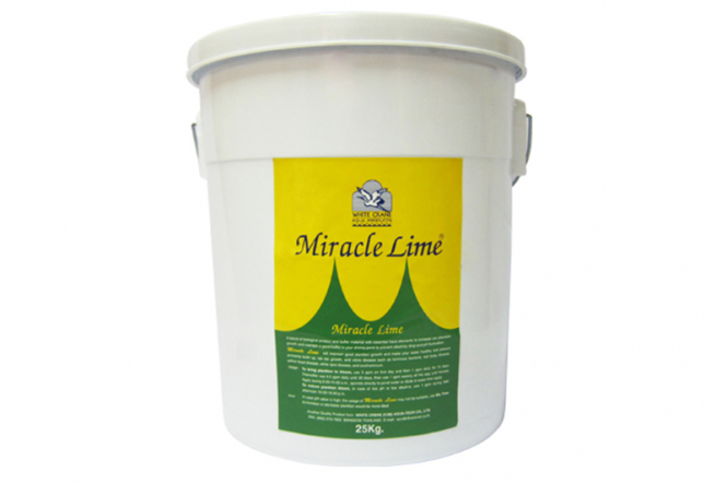 MIRACLE LIME