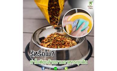 รู้หรือไม่ ทำไมต้องล้างชามอาหารทุกวัน