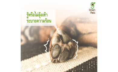 รู้หรือไม่อุ้งเท้าระบายความร้อน