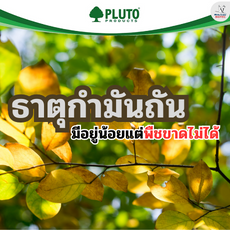 ธาตุกำมะถัน ที่มีอยู่น้อยแต่ขาดไม่ได้