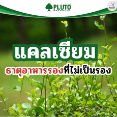 แคลเซียม ธาตุอาหารพืชรองที่หน้าที่ไม่ได้เป็นรอง