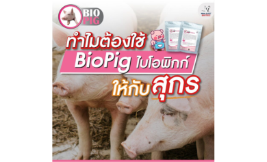 ทำไมต้องใช้ไบโอพิกก์ให้กับสุกร?