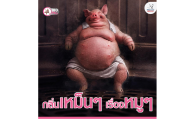 กลิ่นเหม็นๆ เรื่องหมูๆ