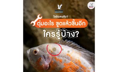ตุ่มอะไร ขูดแล้วขึ้นอีก