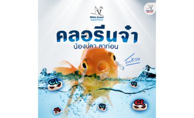 คลอรีนจ๋า น้องปลาลาก่อน