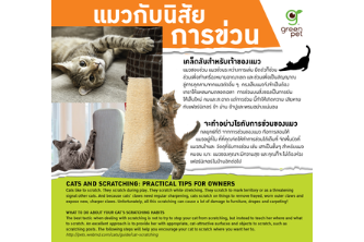 Cats and scratching