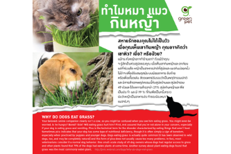 Why do dogs eat grass?