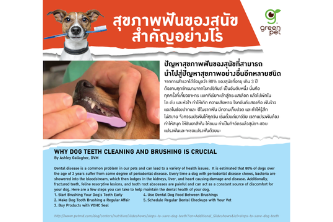 Why dog teeth cleaning and brushing is crucial