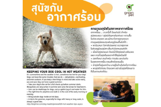 Keep your dog cool in hot weather