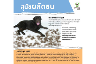 Shedding Dogs