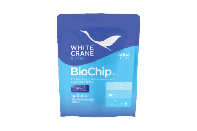 BioChip