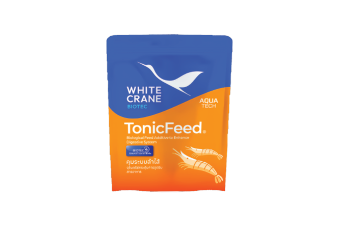 Tonic Feed