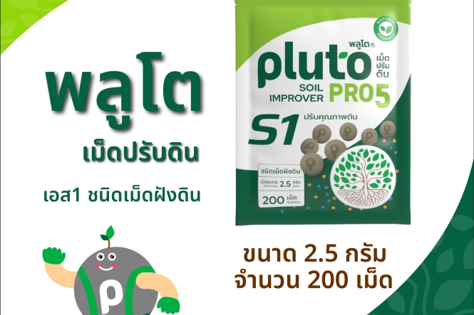 พลูโต โปรไฟว์ เอสหนึ่ง ขนาด 2.5 กรัม x 200 เม็ด