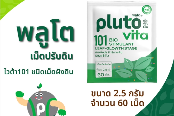 พลูโต ไวต้า 101 ขนาด 2.5 กรัม x 60 เม็ด