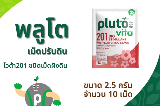 Pluto Vita 201  2.5 grams X 10 tablets