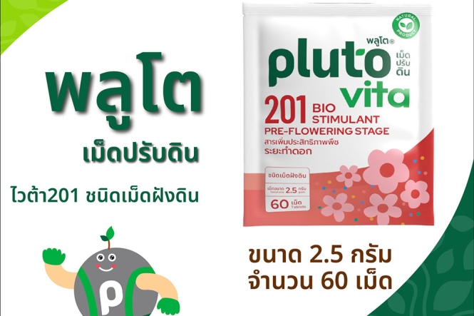 Pluto Vita 201  2.5 grams X 60 tablets