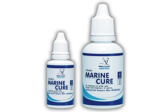 Marine Cure