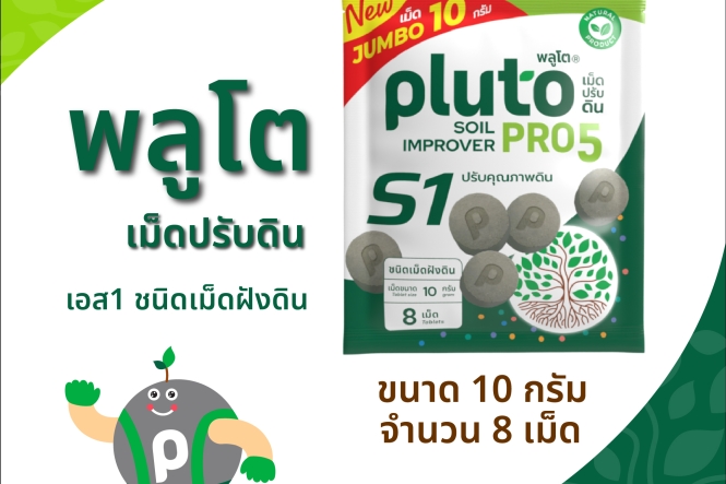 พลูโต โปรไฟว์ เอสหนึ่ง ขนาด 10 กรัม x 8 เม็ด