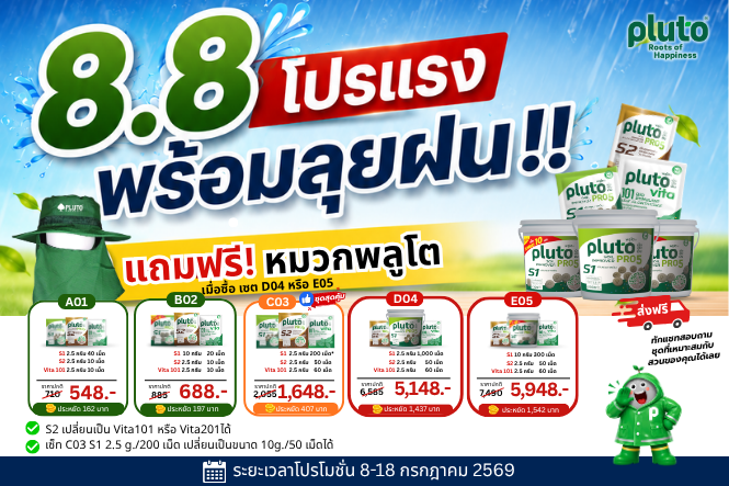 โปรโมชั่น 8.8 โปรแรงพร้อมลุยฝน