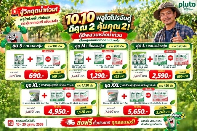 เซตโปรโมชัน 10.10 พลูโต (Pluto) กู้ชีพสวนหลังน้ำลด ฟื้นต้นโทรม รากเดินดี
